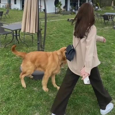 艾尔·卡彭