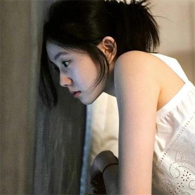 同居人是猫